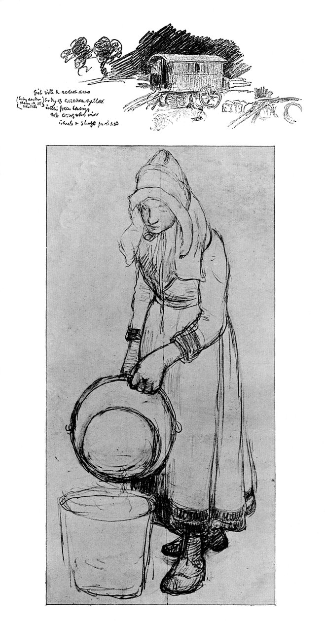 爱德华·斯托特的研究，1901年 作者 不明