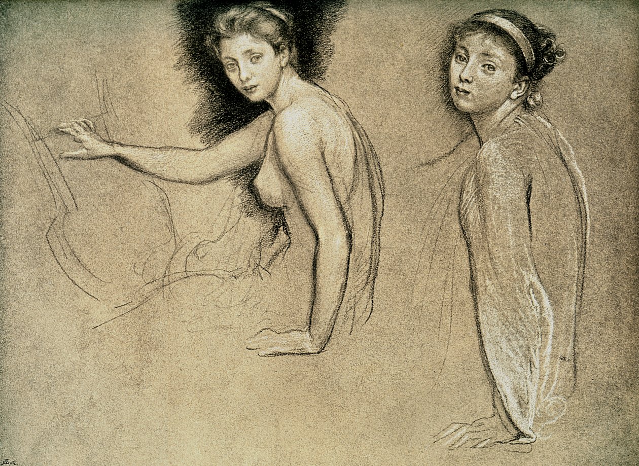 研究，1895年 作者 不明