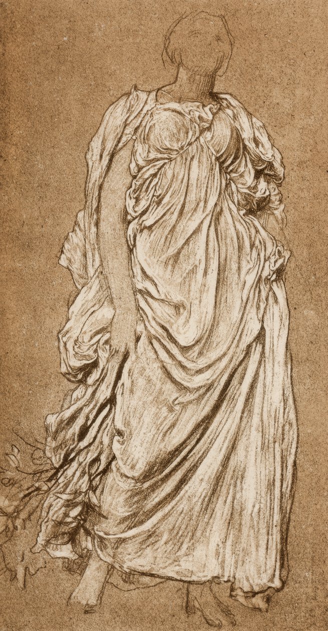 水蚤的研究，c1874-1876 c1880-1882 作者 不明