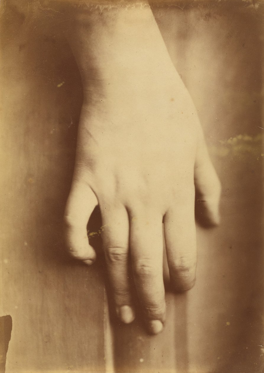 手的研究》，1865年。 作者 不明