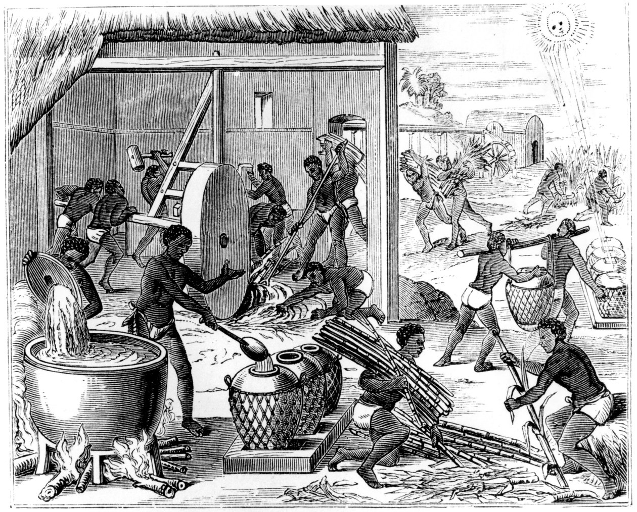 制糖，1873年 作者 不明