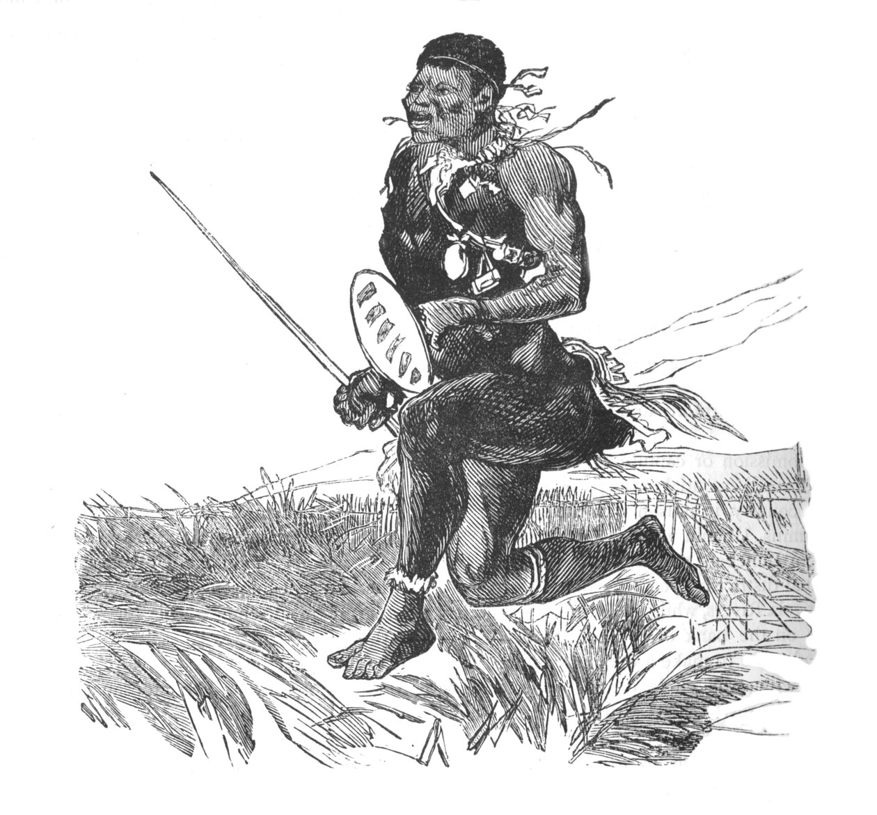 斯威士侦察兵，c1880 作者 不明