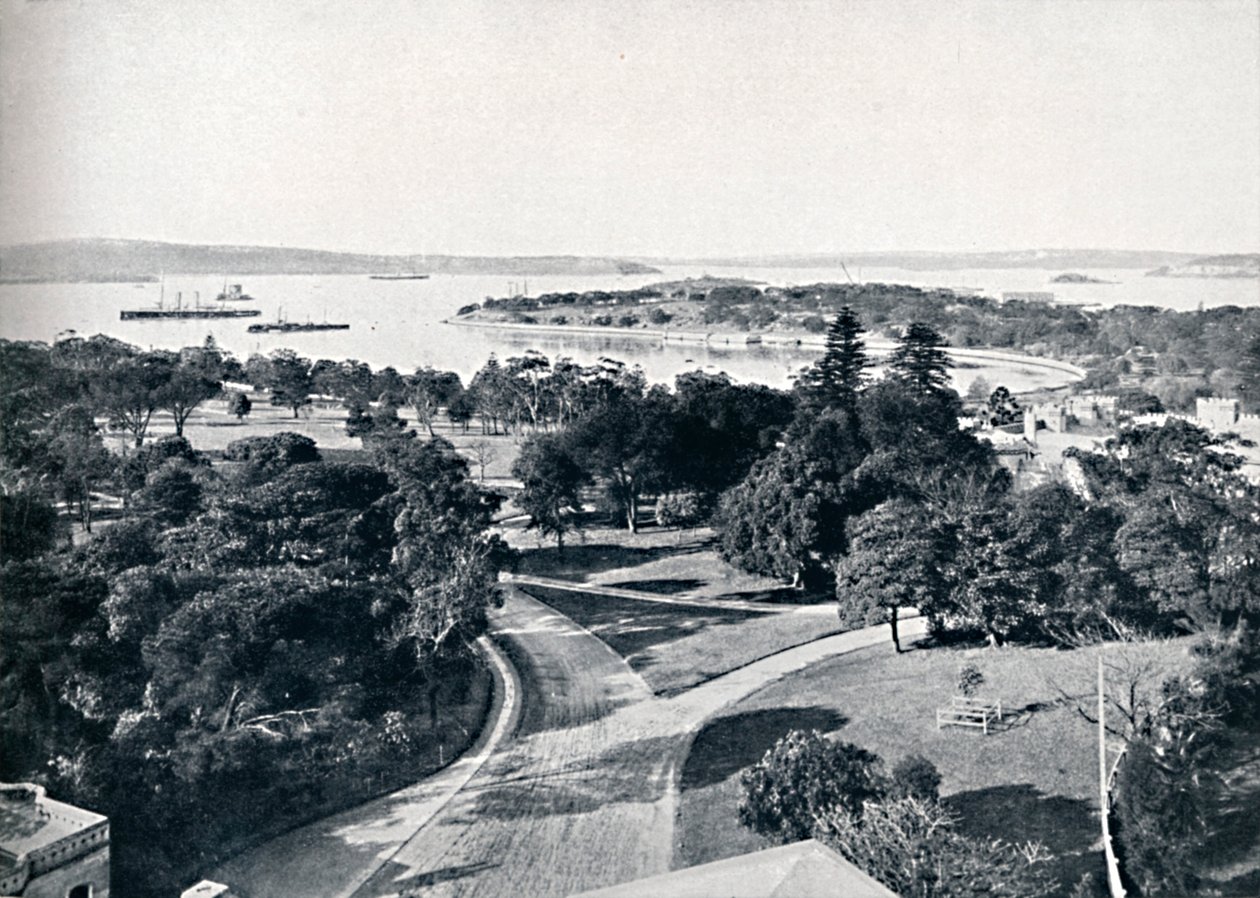 悉尼港和植物园，c1900年。 作者 不明