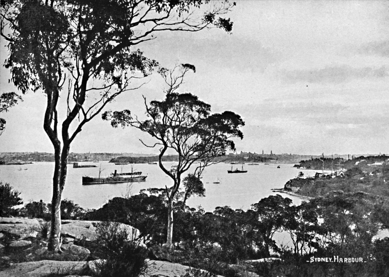悉尼海港（Cymorne Point），摄于1900年。 作者 不明