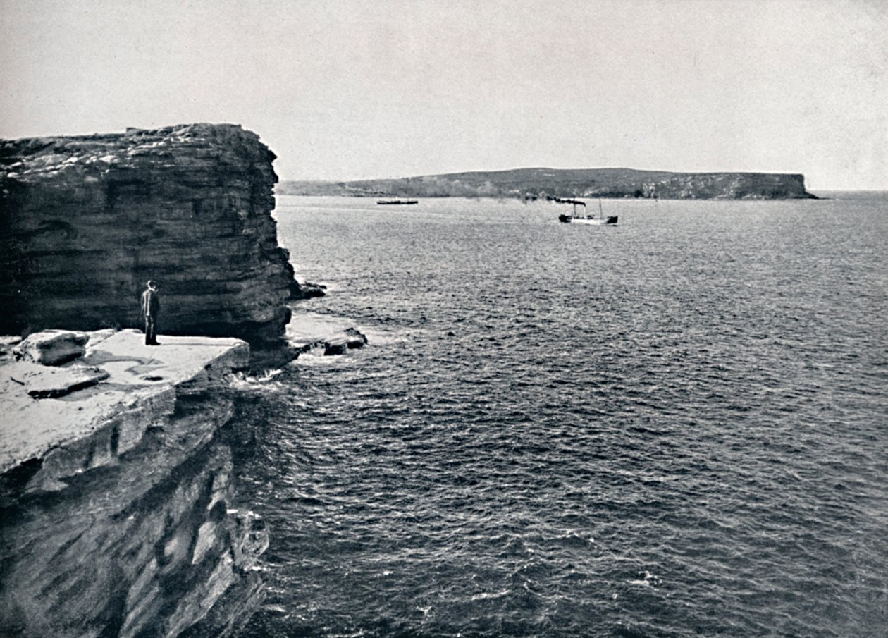 悉尼首府，位于屈臣氏湾（Watsons Bay）的峡湾，摄于1900年。 作者 不明