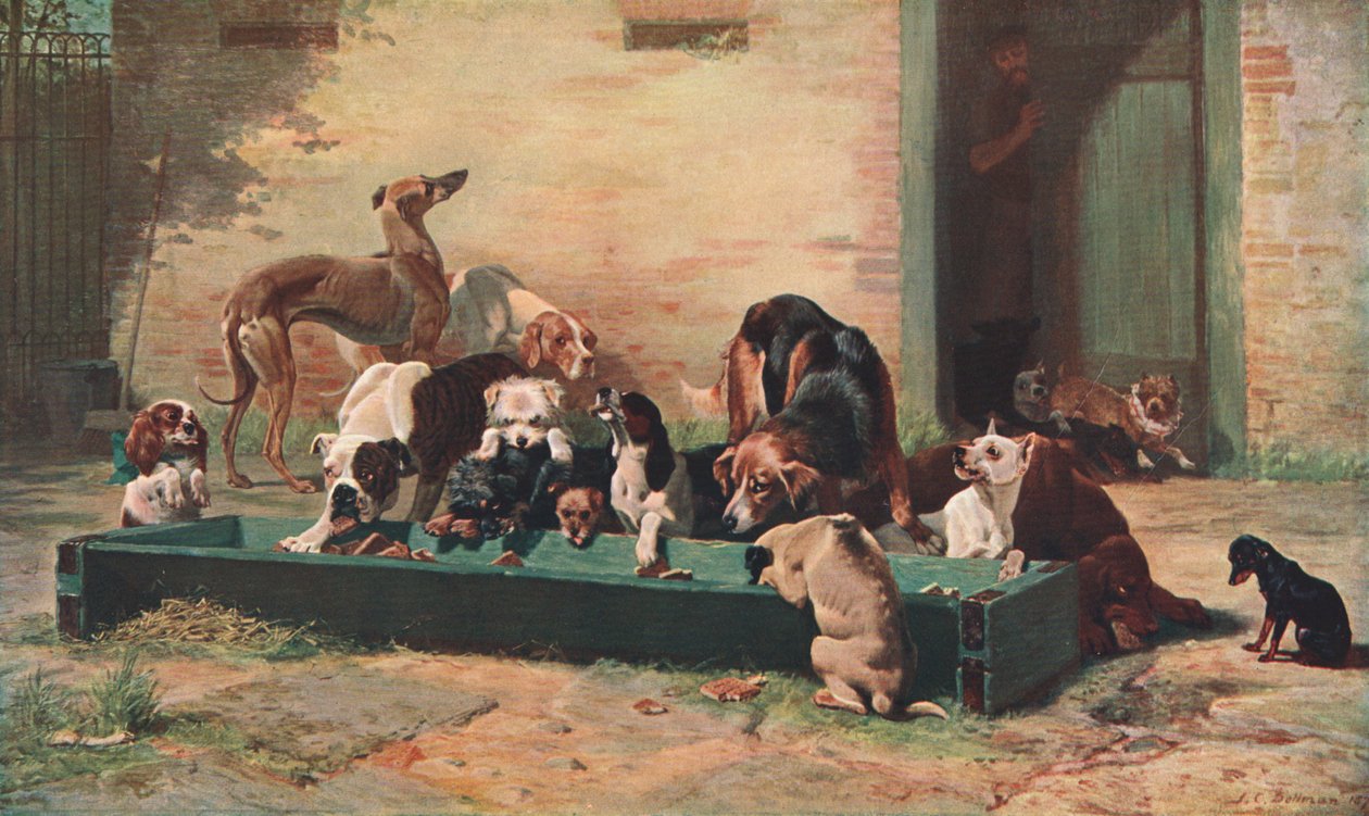 表dHote at Dogs Home，1880年，c1902。 作者 不明