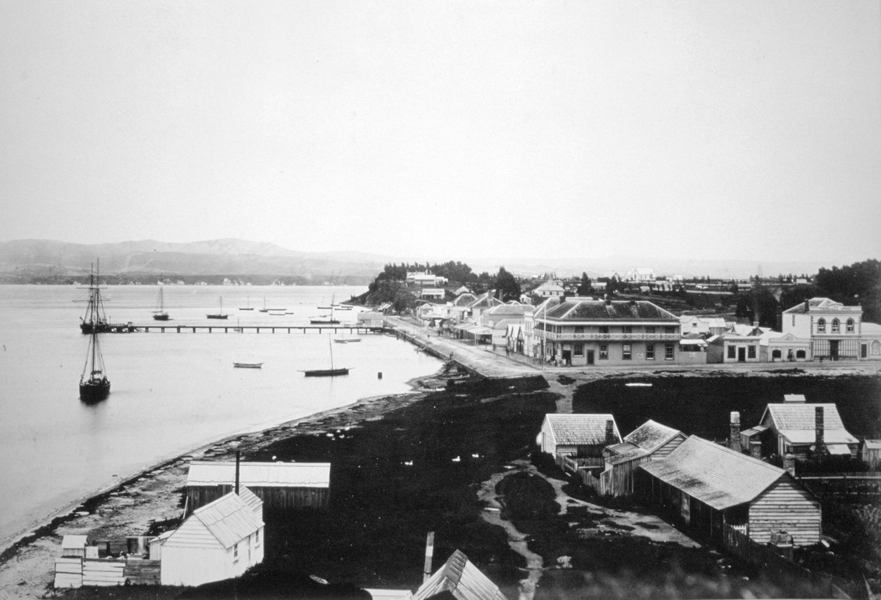 陶朗加，丰盛湾，北岛，新西兰，1875年 作者 不明