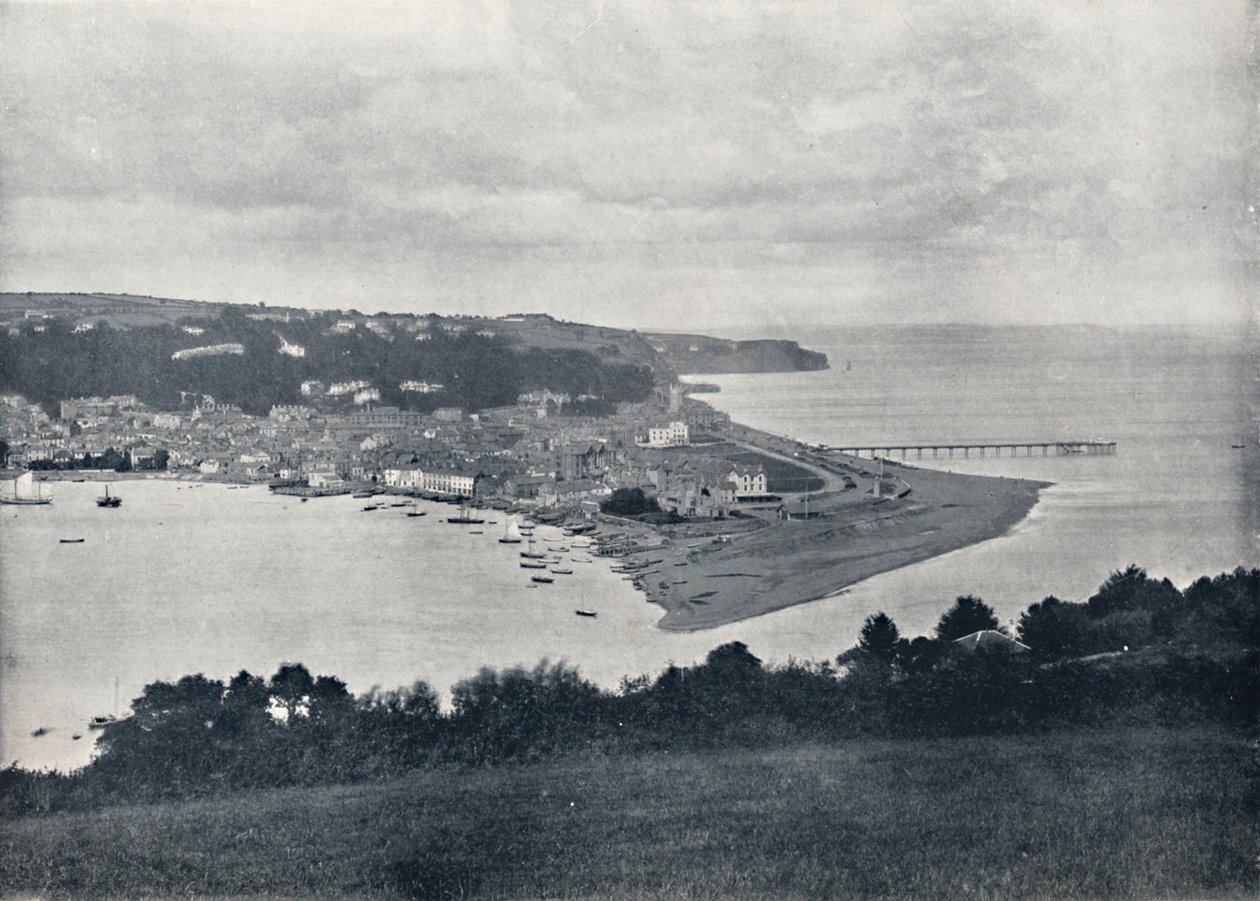 廷茅斯（Teignmouth）-达尼（Dene）全景，1895年 作者 不明