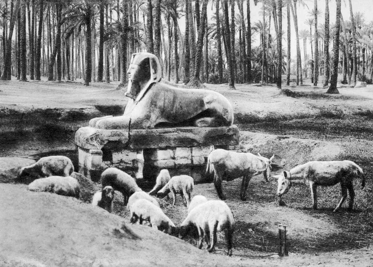 雪花石膏狮身人面像，开罗，埃及，c1920年代 作者 不明