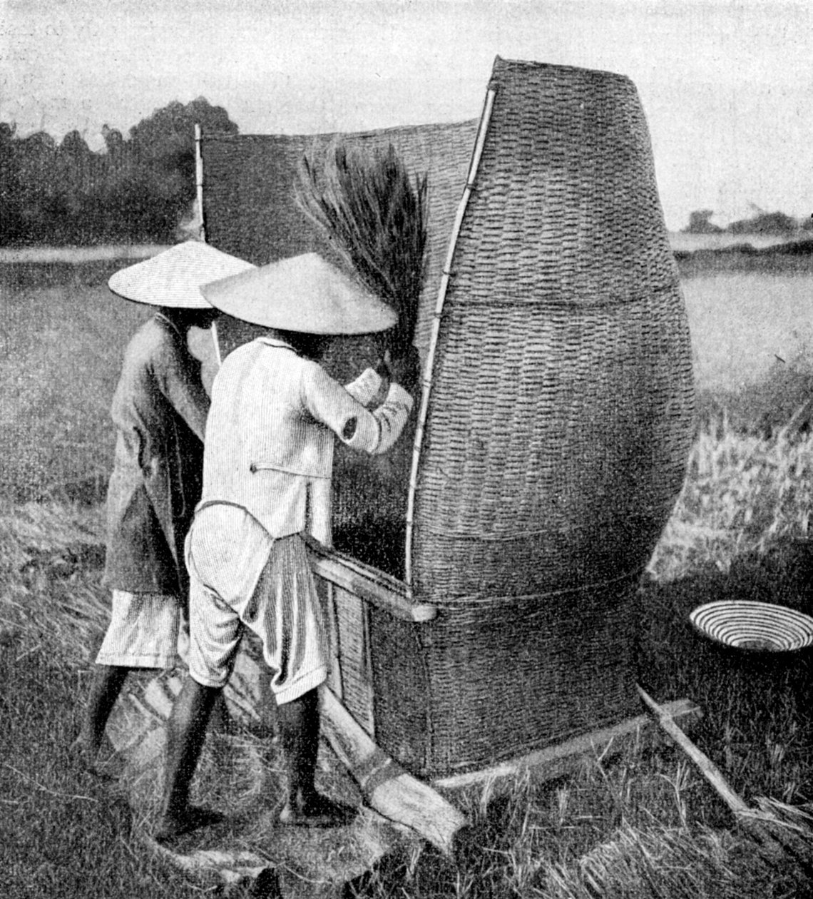 越南水稻安南（Annam）收割和脱粒的方式，1922年 作者 不明