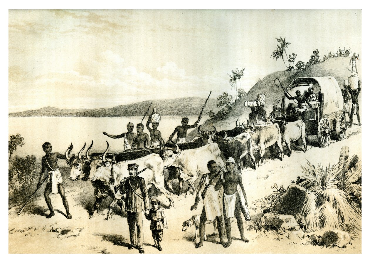 1883年，到达恩加米湖的到来 作者 不明