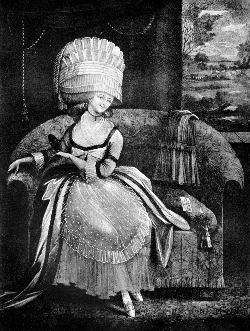 天堂鸟，1772年 作者 不明
