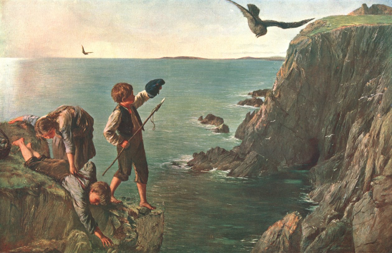 设于设得兰群岛的Bonxie，1873年，出版于c1902。 作者 不明