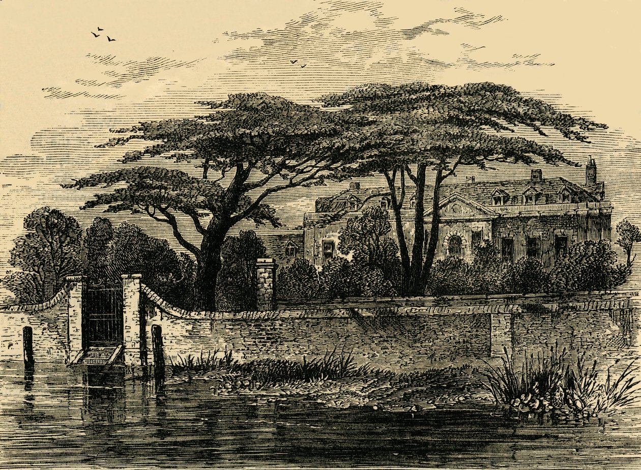切尔西植物园，1790年，建于1876年。 作者 不明