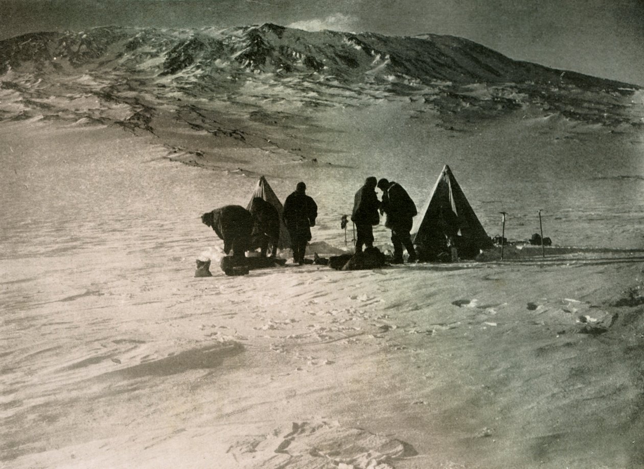 1908年，1909年的7000英尺营地在埃里布斯山上 作者 不明
