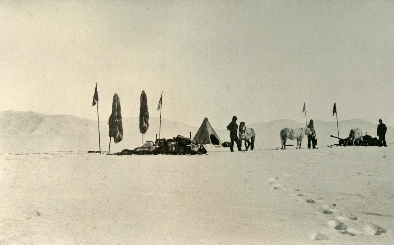 1909年11月，经过先前最遥远的南纬地区后的营地 作者 不明