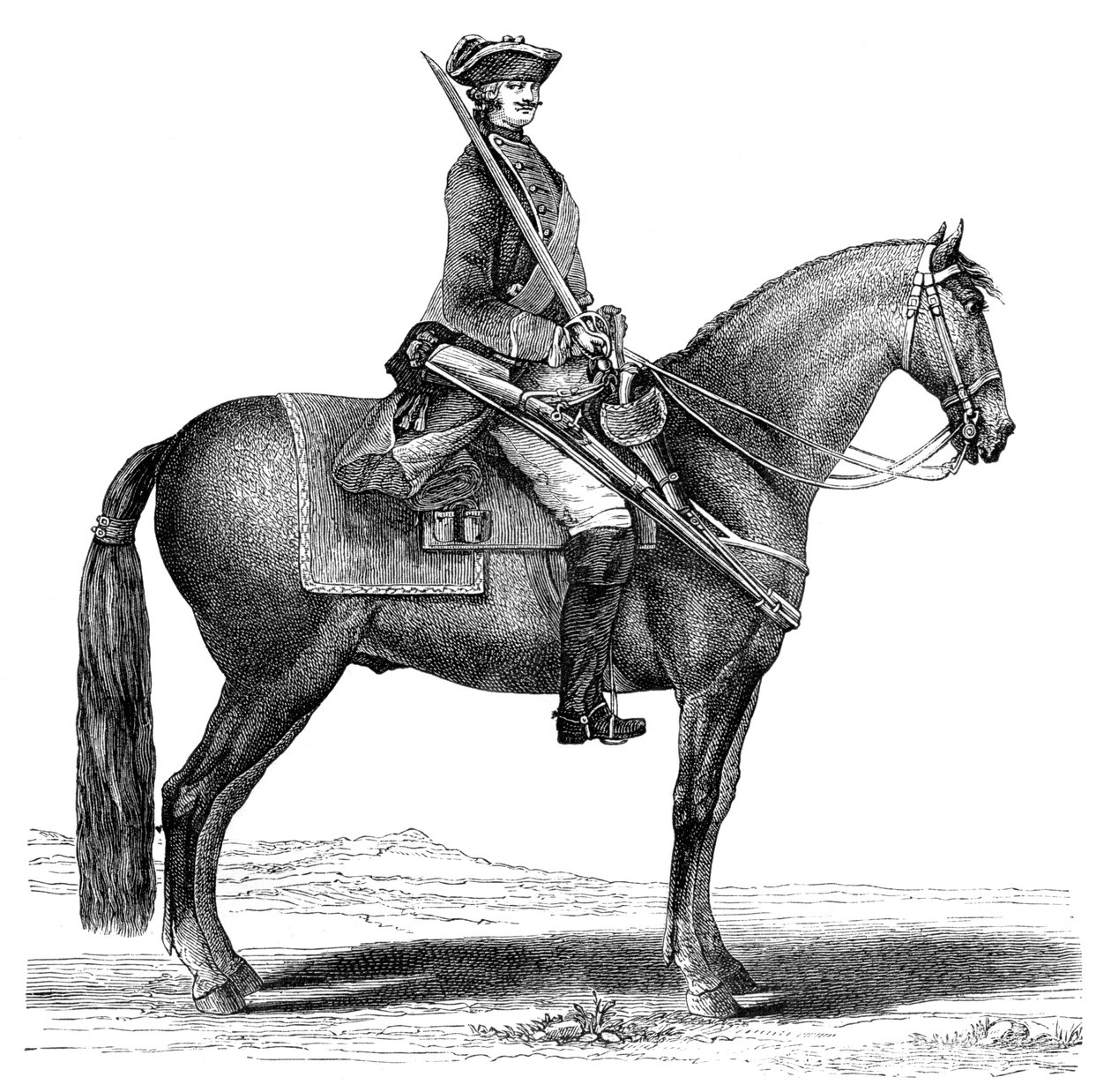 骑士，1885年 作者 不明