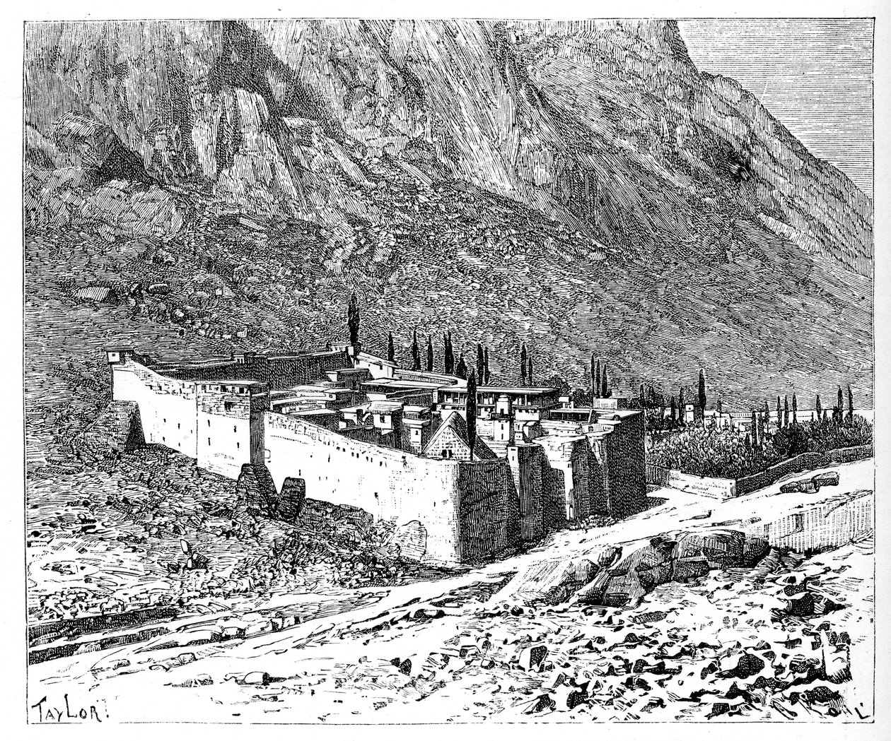 圣凯瑟琳修道院，埃及西奈山，1895年 作者 不明