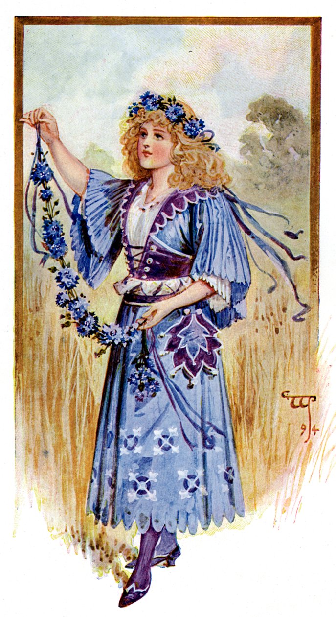 矢车菊，1899年 作者 不明