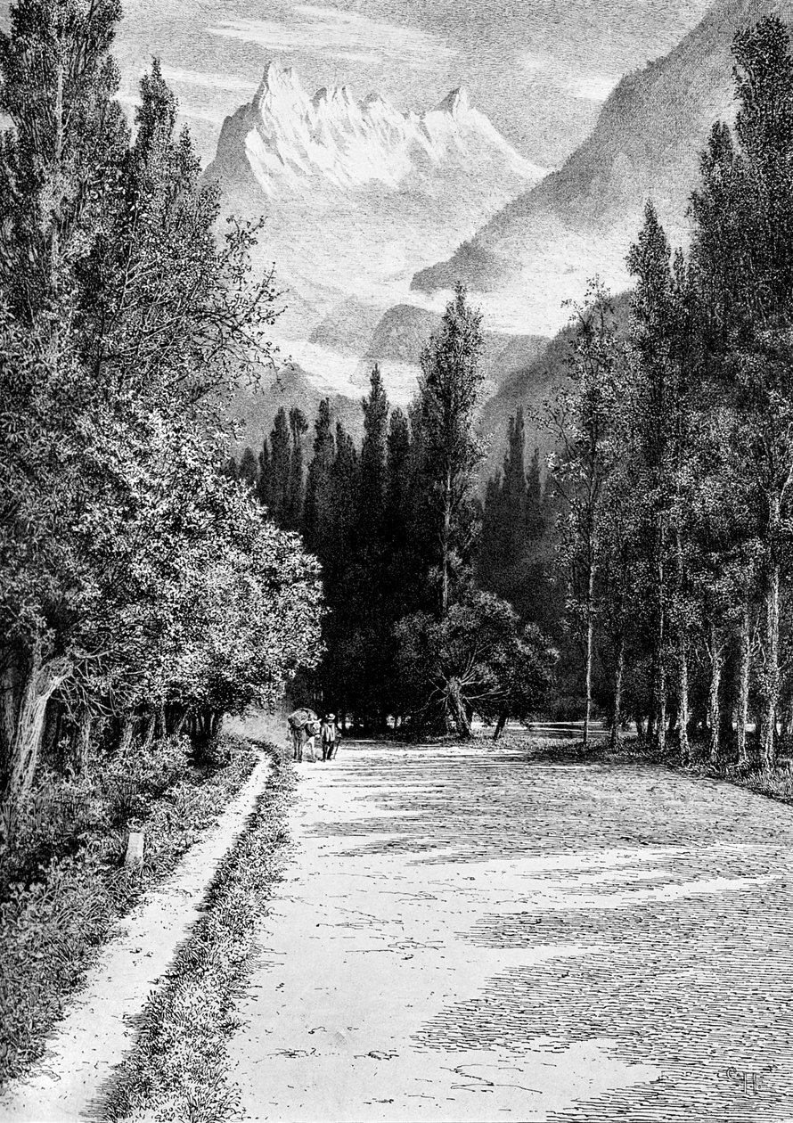 1900年，罗讷河谷的Dent du Midi 作者 不明