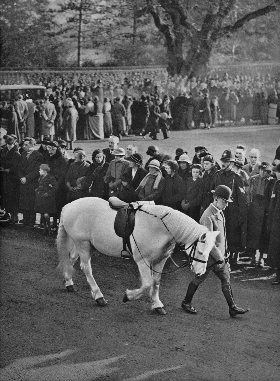 空马鞍：乔治王白色小马，乔克（Jock），1936年被带队游行 作者 不明