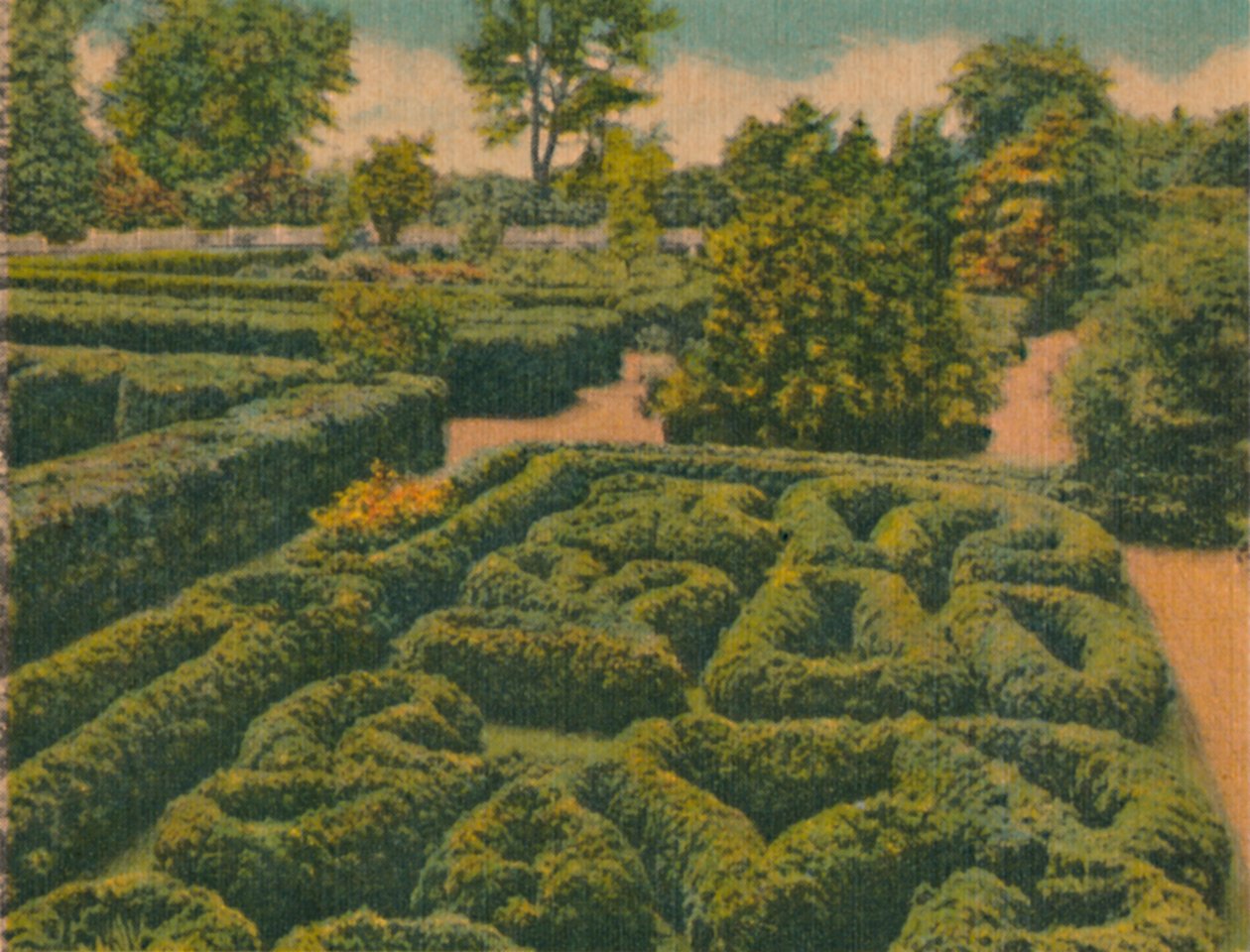 花卉园全景，1946年 作者 不明