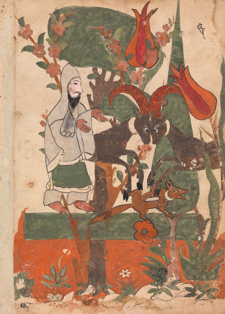 狐狸和战斗的公羊》，对开本，摘自《Kalila wa Dimna》，18世纪。 作者 不明