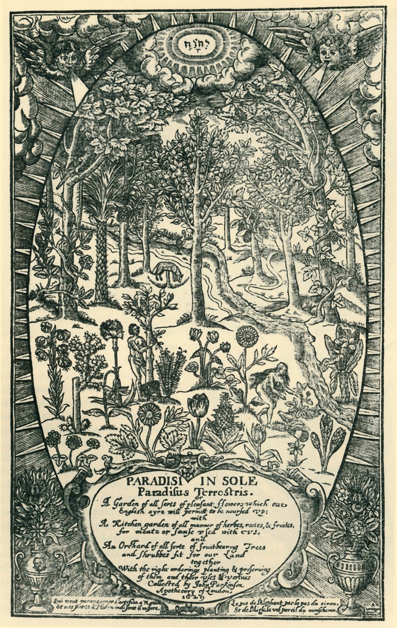 伊甸园》，1629年，1944年。   作者 不明