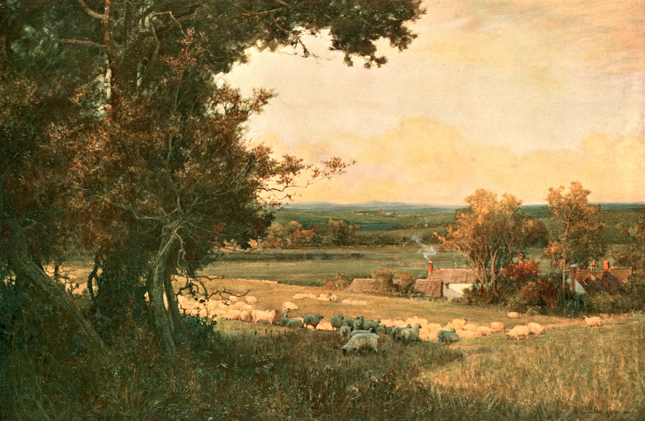 金谷（Colden Valley），c1893，c1902。 作者 不明