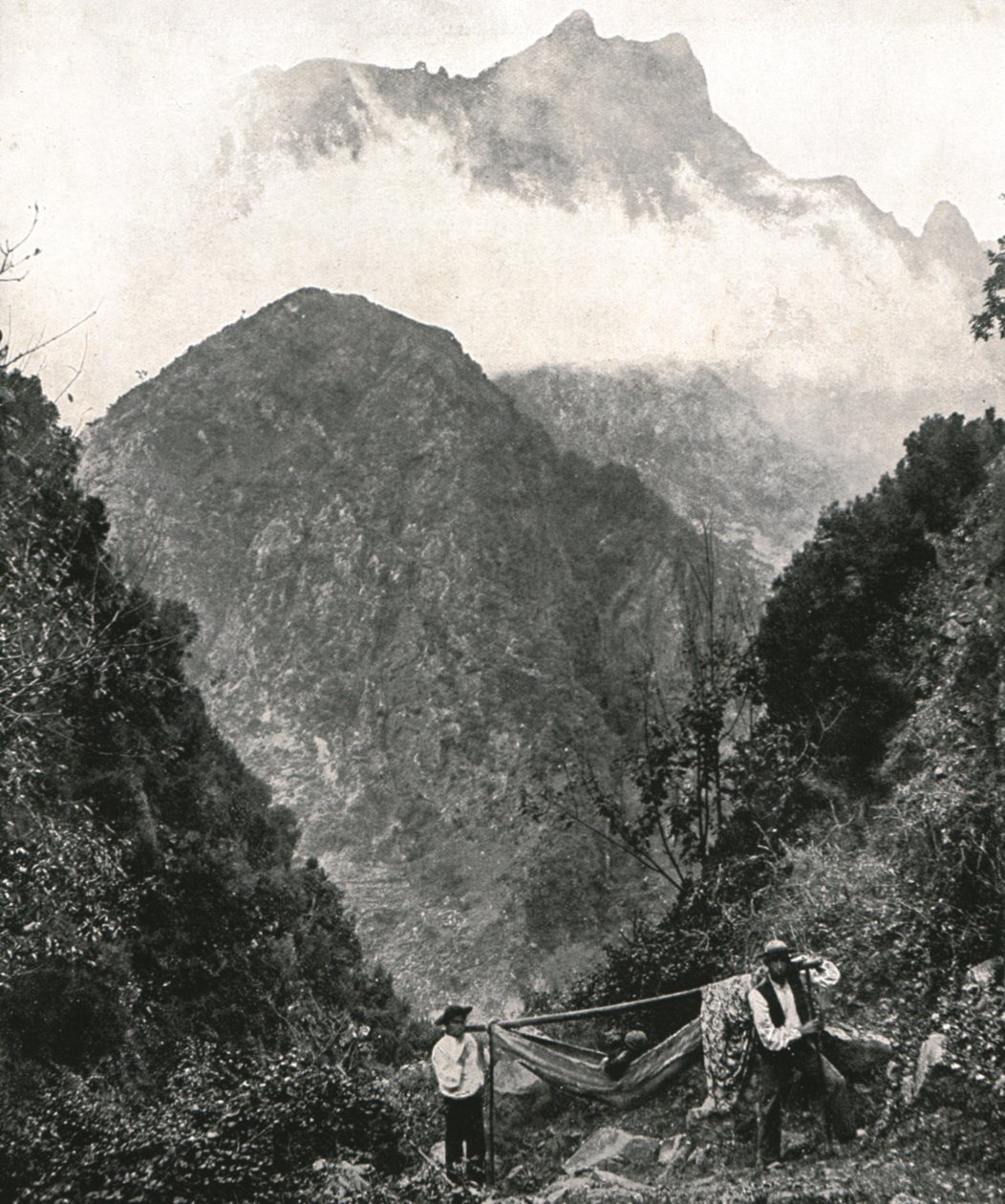 1895年，葡萄牙马德拉群岛，大博物馆。 作者 不明
