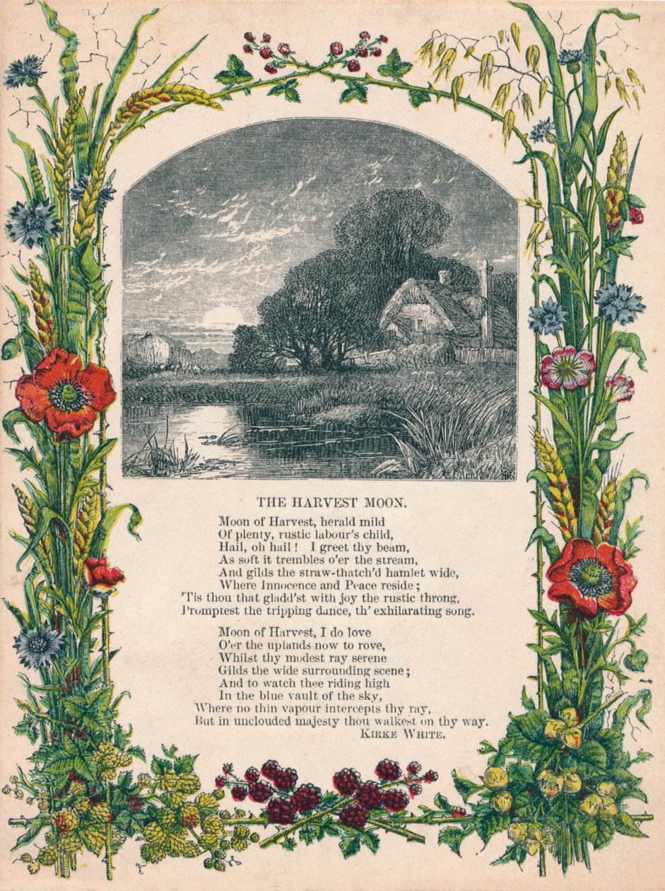 柯克·怀特（Kirke White）的《收割的月亮》，摄于c1900年 作者 不明