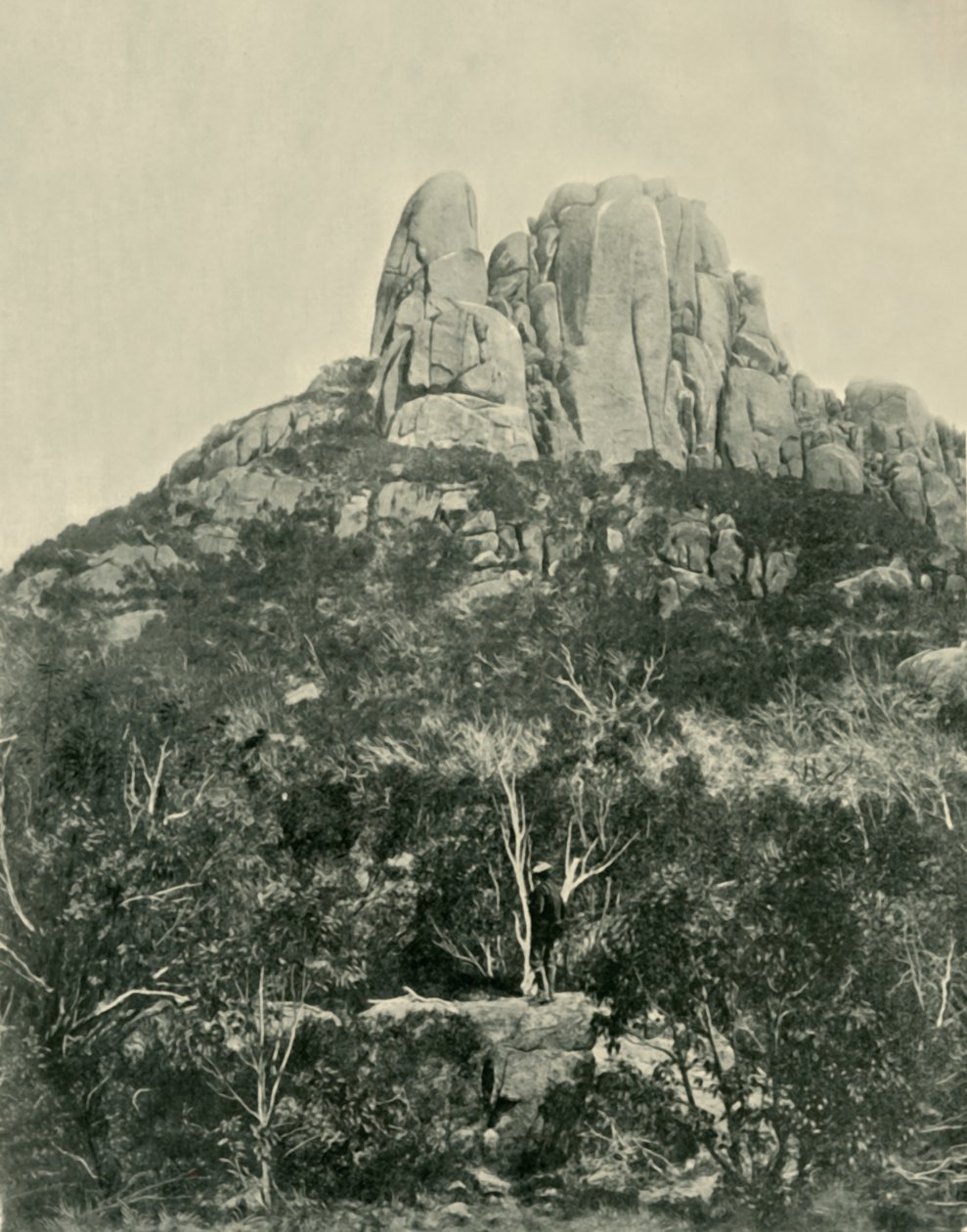 1901年，布法罗山脉驼峰。 作者 不明