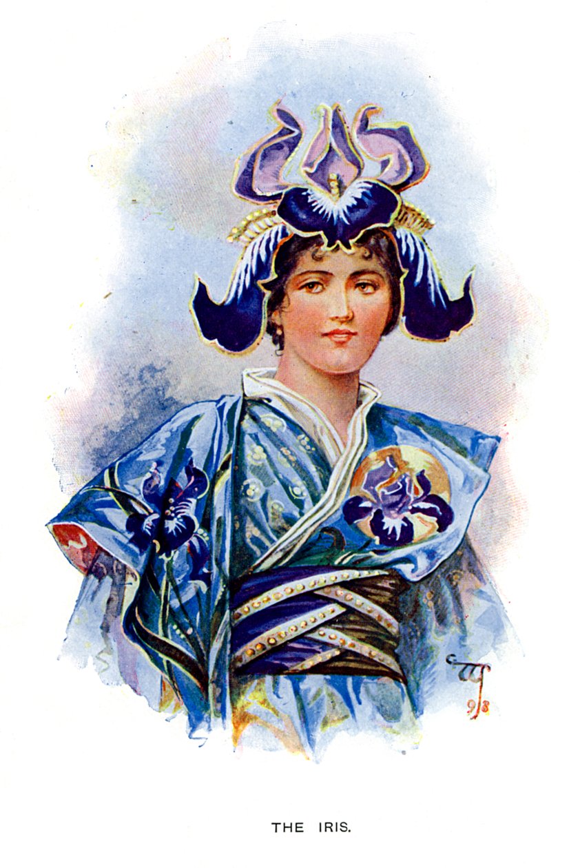 虹膜，1899年 作者 不明