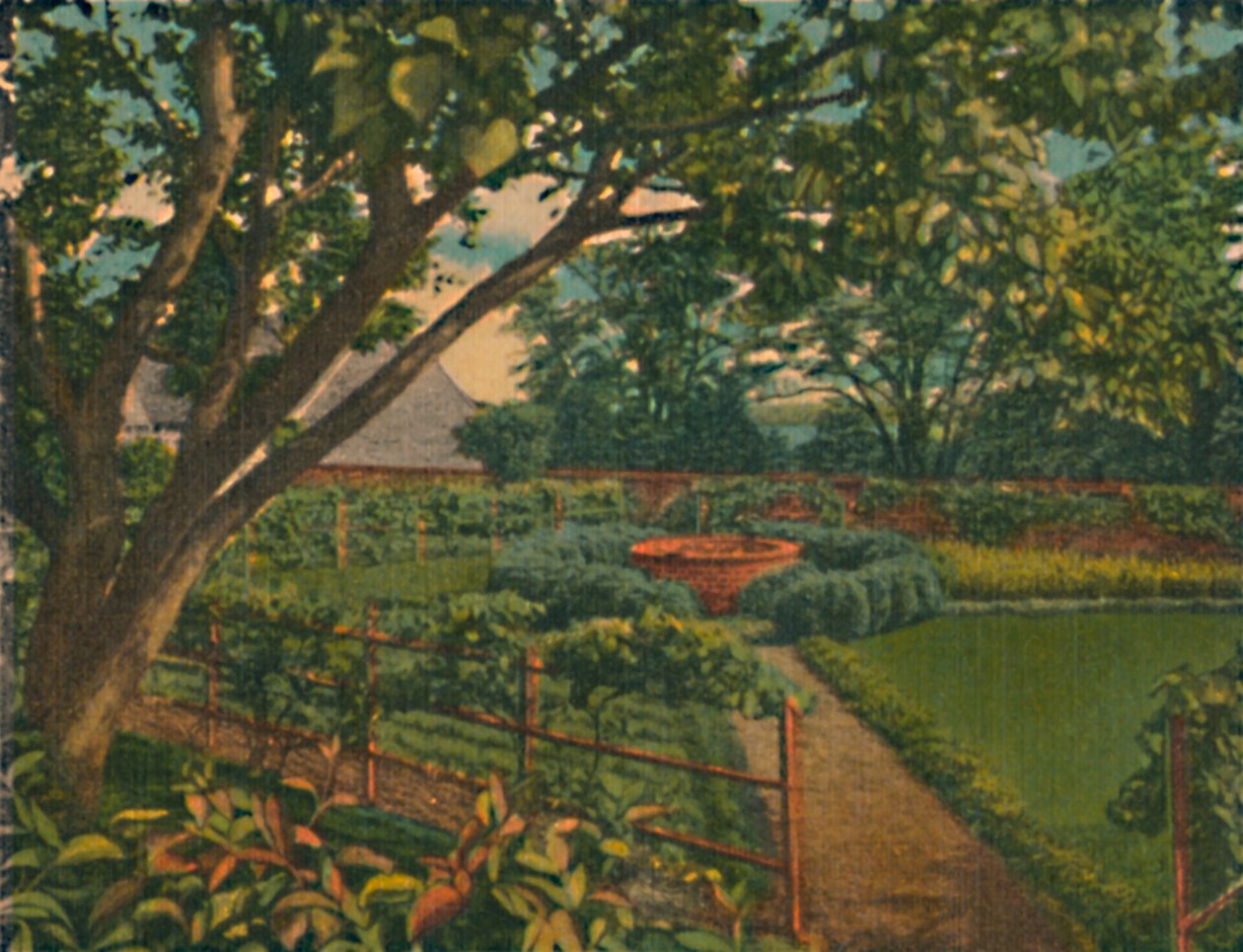 厨房花园，1946年 作者 不明