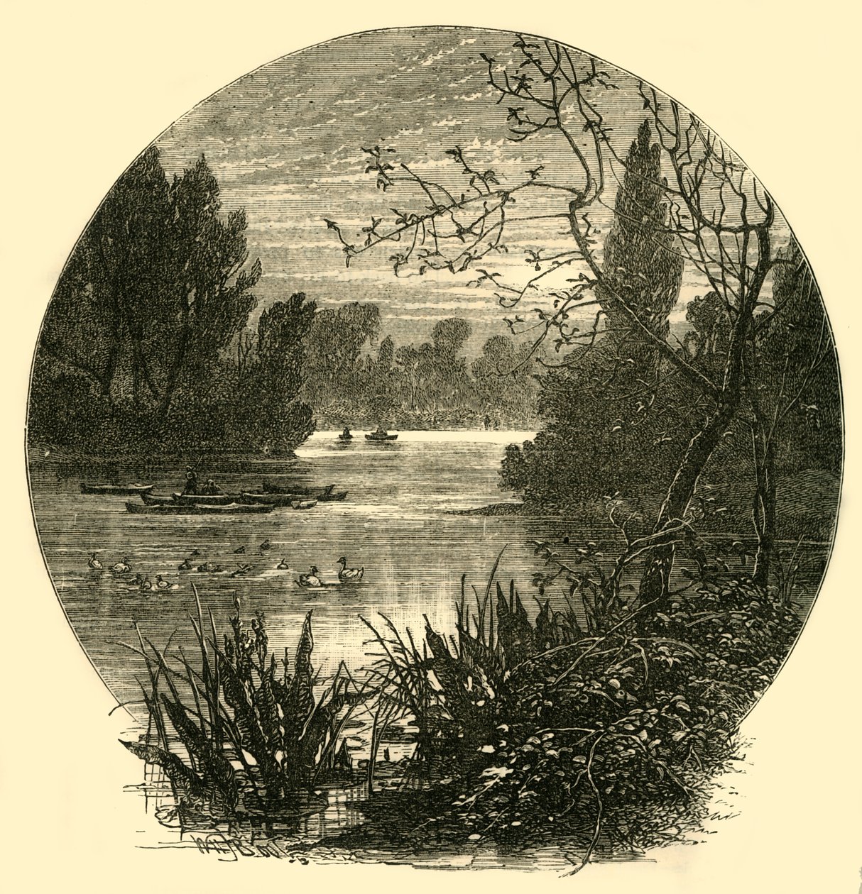 湖，巴特西公园，1878年。 作者 不明