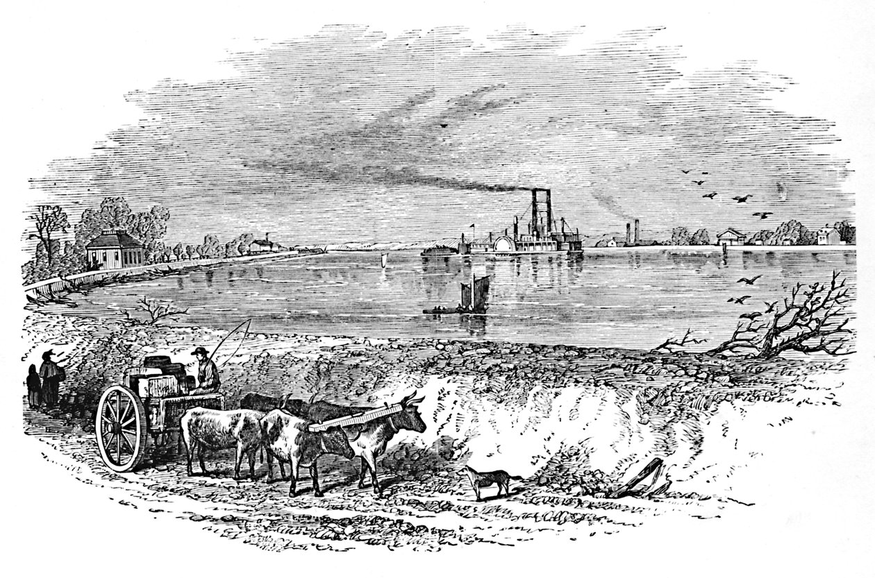 大堤，1883年 作者 不明