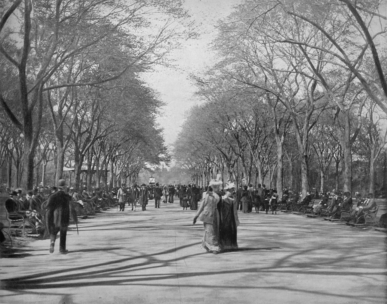 纽约中央公园购物中心，建于1897年。 作者 不明