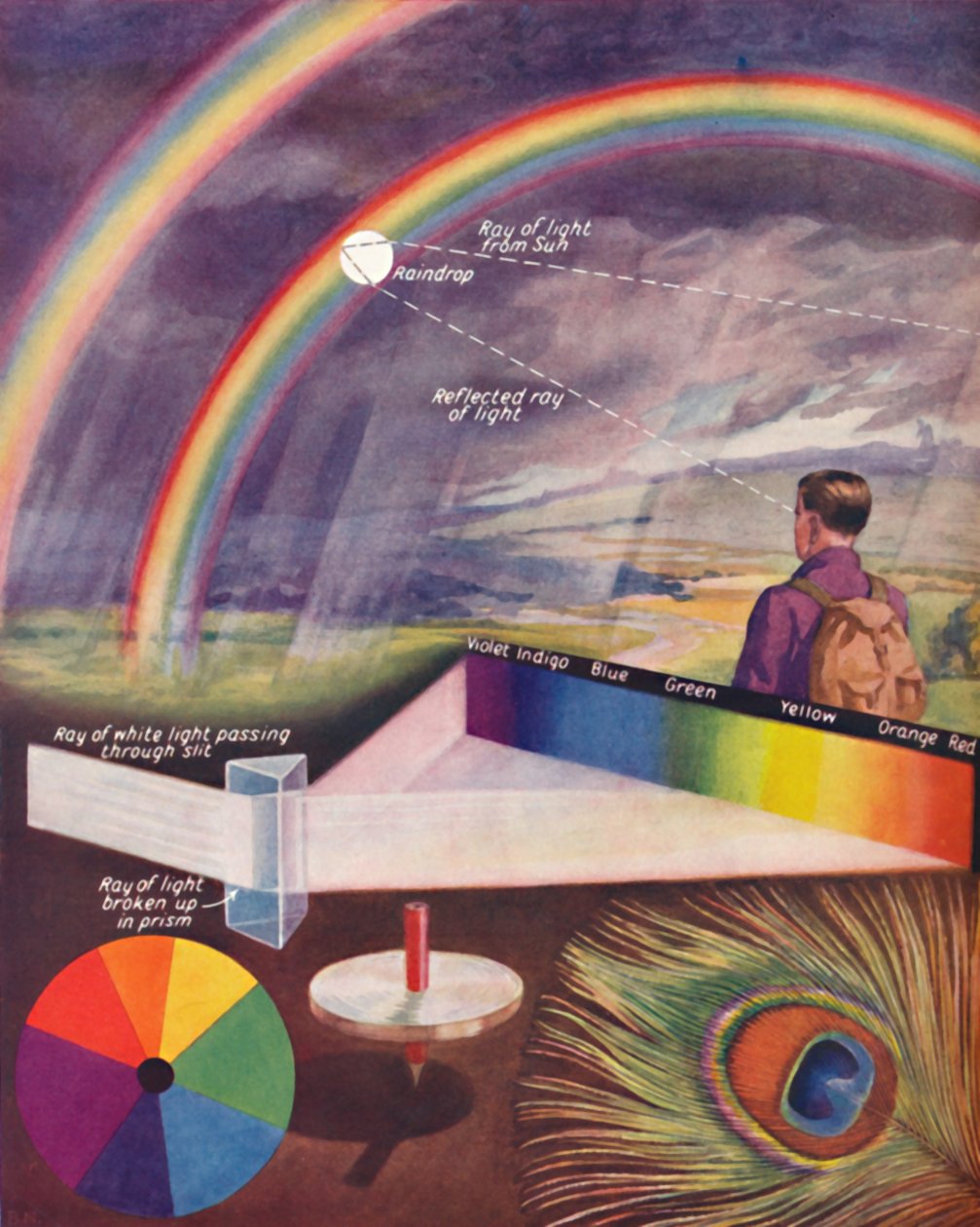 构成白光的多种颜色，1935年 作者 不明