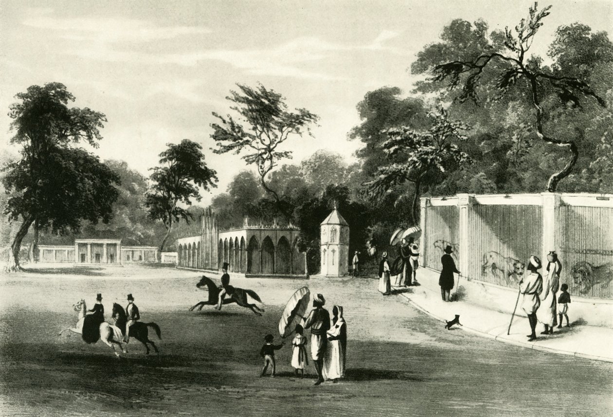 1820年，Barrackpore公园的动物园，1925年。 作者 不明