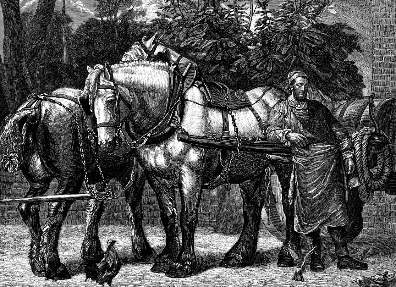 午间休息，c1863 1882 作者 不明
