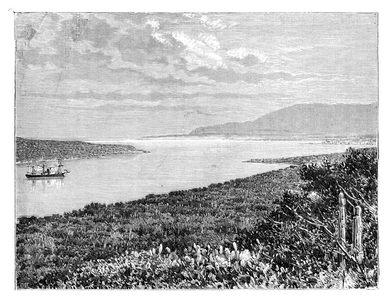 海地莫尔圣尼古拉斯半岛，大约1890年 作者 不明