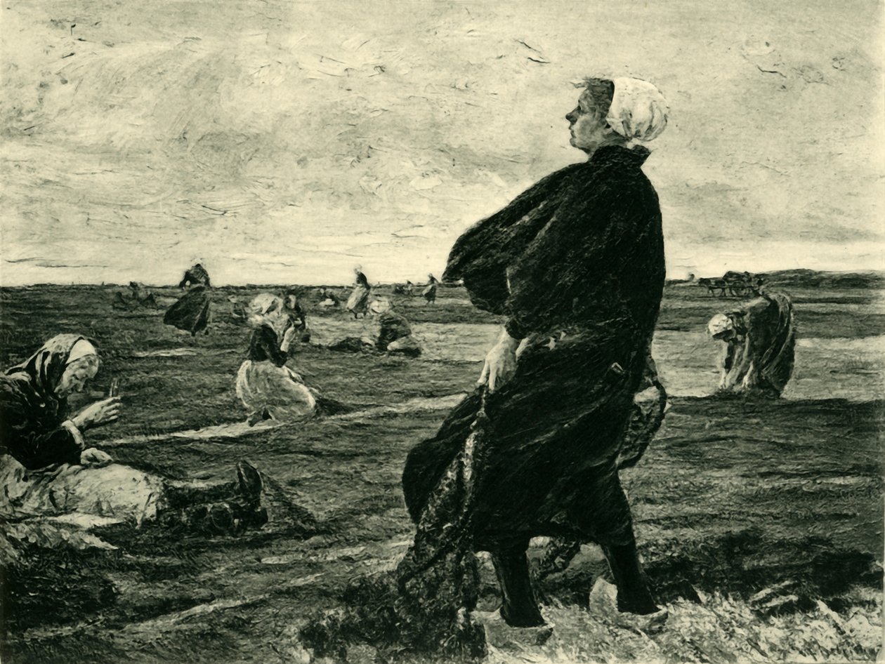 网络修补程序，1887-1889，1908年。 作者 不明