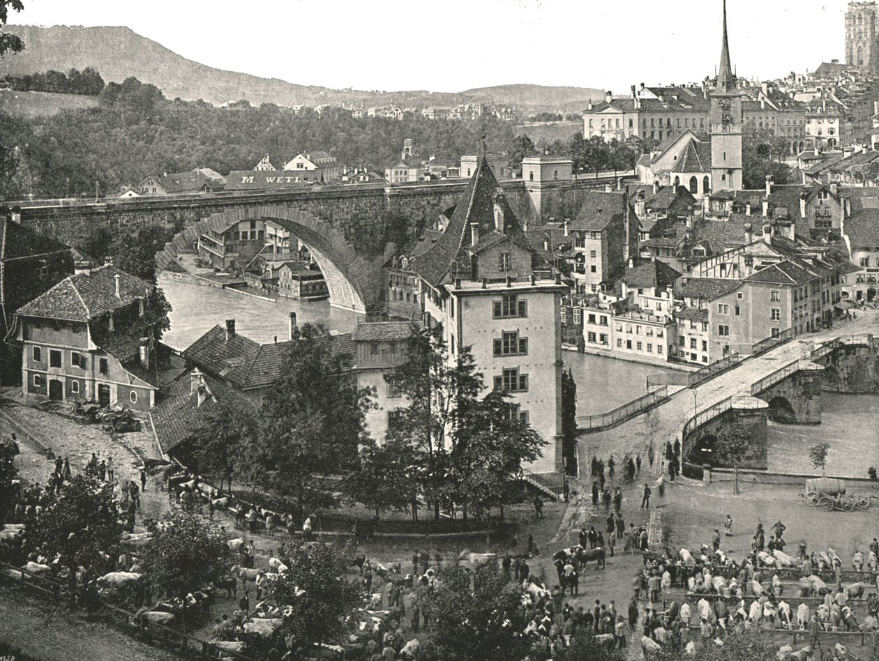Nydeggbrücke和牛市场，瑞士伯尔尼，1895年。 作者 不明