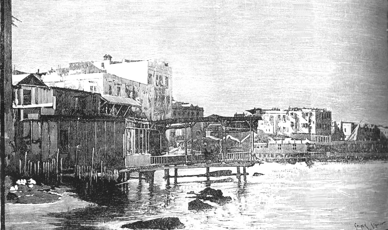亚历山大港，c1882 作者 不明