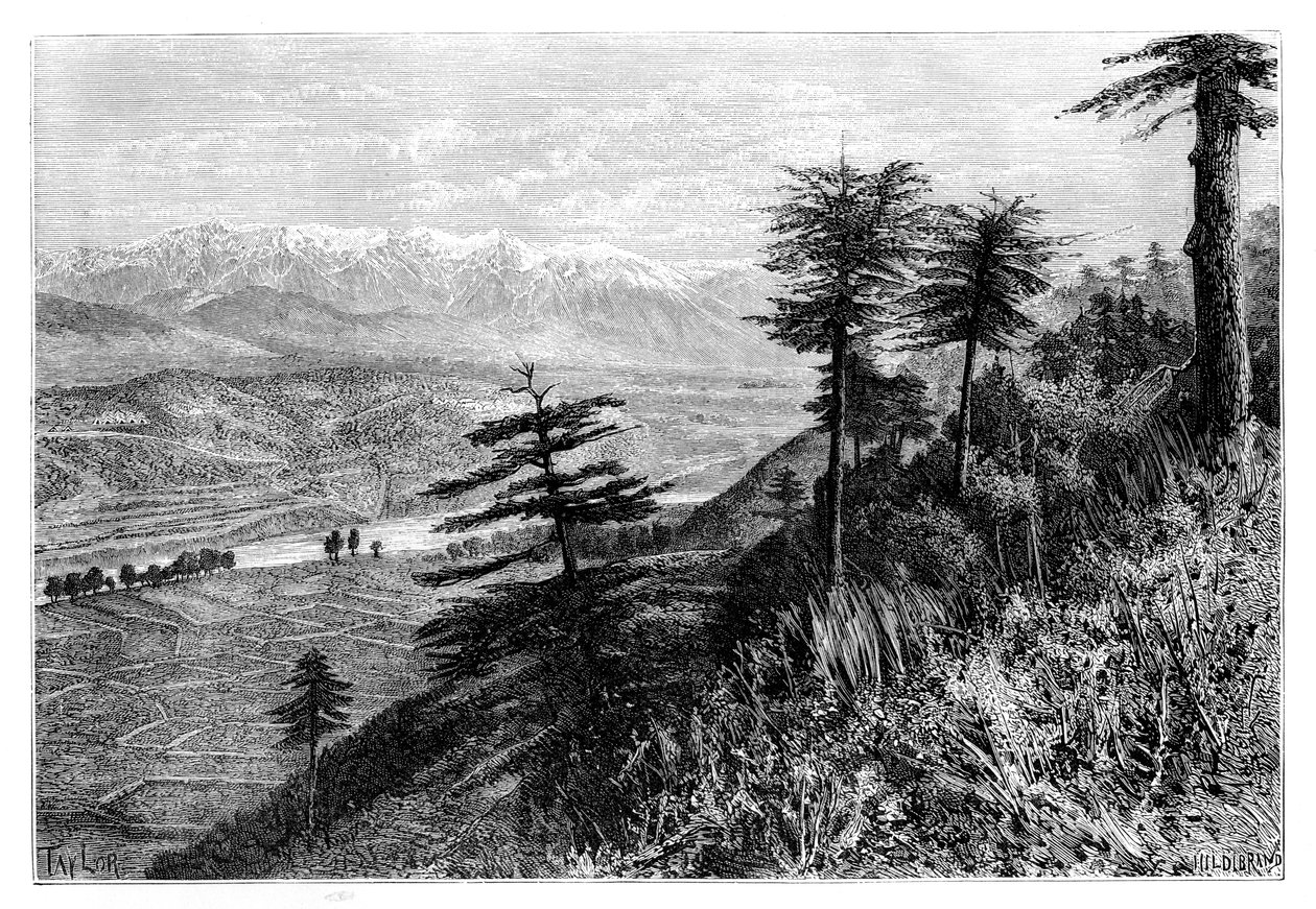 派瓦尔通票，1895年 作者 不明