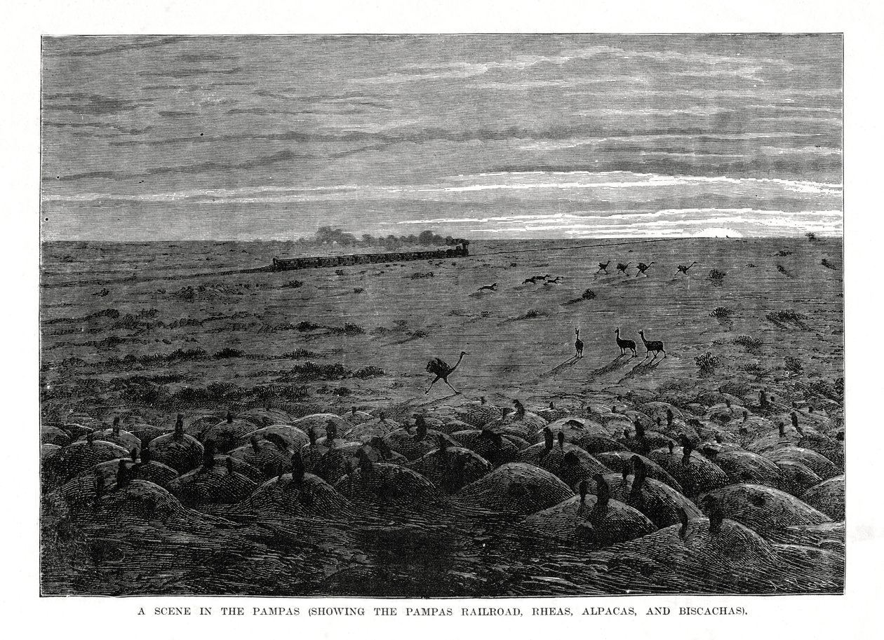 南美低地潘帕斯铁路，1877年 作者 不明