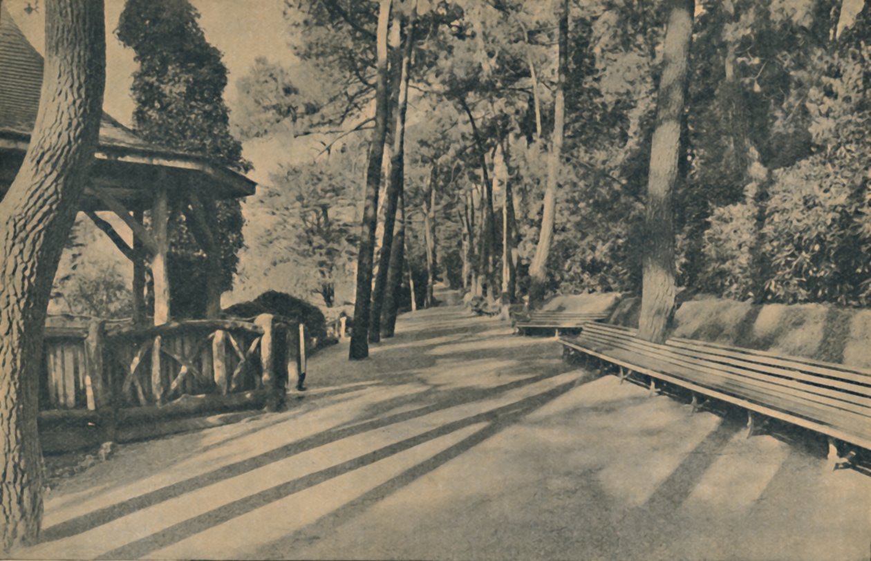 松径，1929年 作者 不明