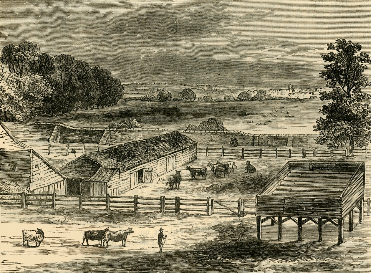 1790年，蒂本（Tyburn），死刑的执行地。 作者 不明