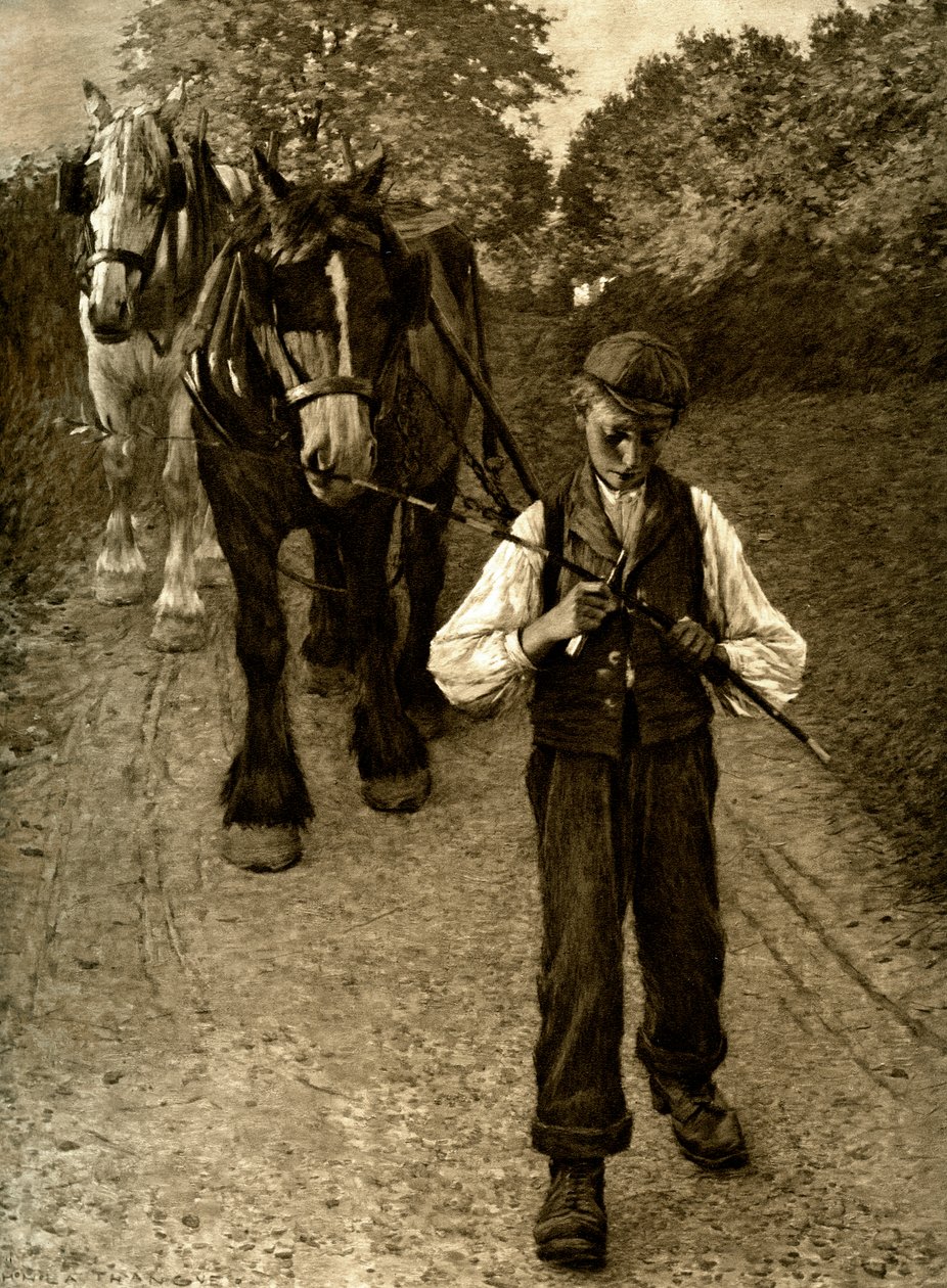 犁男孩，1900年 作者 不明