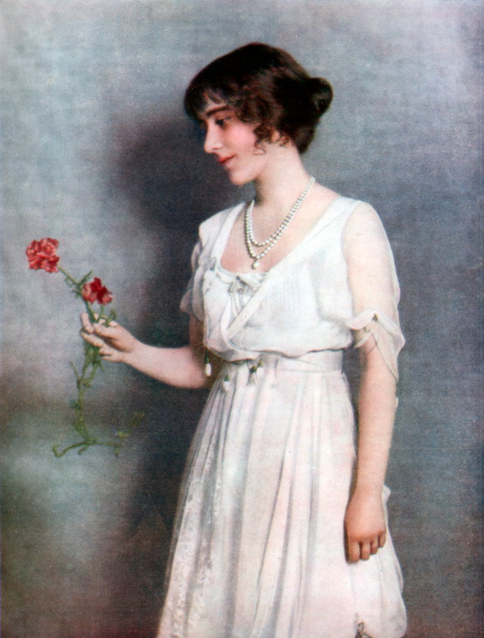 红色康乃馨，伊丽莎白·鲍伊斯·里昂夫人，1923年 作者 不明